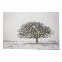 принт wood на подрамнике во Владикавказе