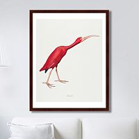 картина: scarlet ibis, 1827г. во Владикавказе