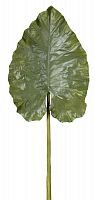 декор giant taro leaf во Владикавказе