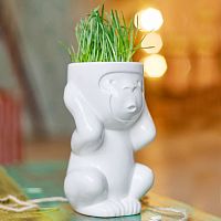 горшок для растений eco игнорик во Владикавказе