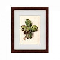 картина: watercolor collection, drawing №1, 1909 во Владикавказе