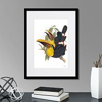 картина: toucans №1, 1849г. во Владикавказе
