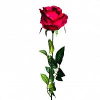 роза бордовая 71 см (24) во Владикавказе