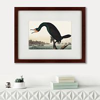 картина: florida cormorant, 1835 во Владикавказе