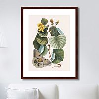картина: beauty bloom №3, 1732г. во Владикавказе