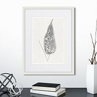 картина: the fern collection №5 во Владикавказе