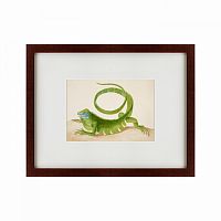 картина: green iguana, 1701 во Владикавказе