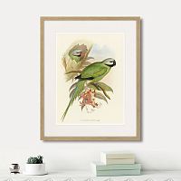картина: love parrots ii, 1851г. во Владикавказе