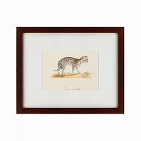 картина: an ocelot, 1801 во Владикавказе