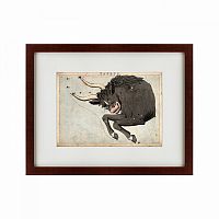 картина: signs of zodiac taurus, 1825 во Владикавказе