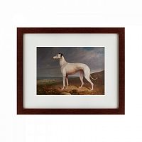 картина: portrait of a greyhound, 1744 во Владикавказе