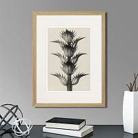 картина: botanical philosophy of forms №7, 1912г. во Владикавказе