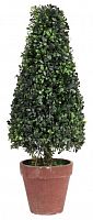 искусственное дерево в горшке topiary во Владикавказе