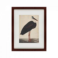 картина: black stork in a landscape, индия, 1780 во Владикавказе