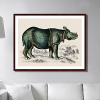 картина: rhinoceros, 1774г. во Владикавказе