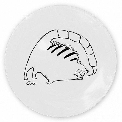кот-скорпион во Владикавказе
