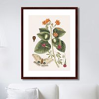 картина: beauty bloom №4, 1732г. во Владикавказе