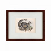 картина: the squirrel, 1879 во Владикавказе