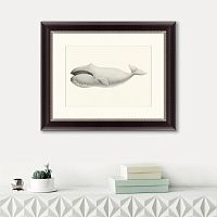 картина: bowhead whale (balaena mysticetus), 1856 во Владикавказе