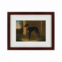 картина: portrait of a greyhound called pompon, 1746 во Владикавказе