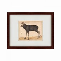 картина: moose, 1560 во Владикавказе