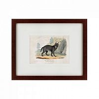картина: a caracal or lynx, 1830 во Владикавказе