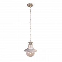 уличный подвесной светильник arte lamp amsterdam a1523so-1wg во Владикавказе