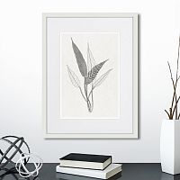 картина: the fern collection №6 во Владикавказе