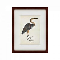 картина: heron (литография), 1822 во Владикавказе